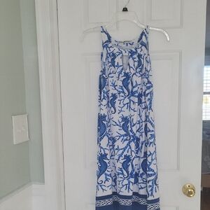 Barbara Gerwit Blue and White Sheek Sleeveless Summer Dress